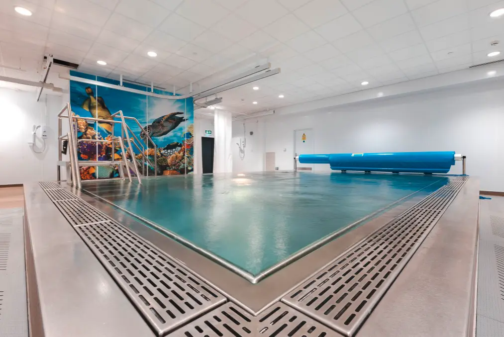 Stainless Steel Hydrotherapy Pool